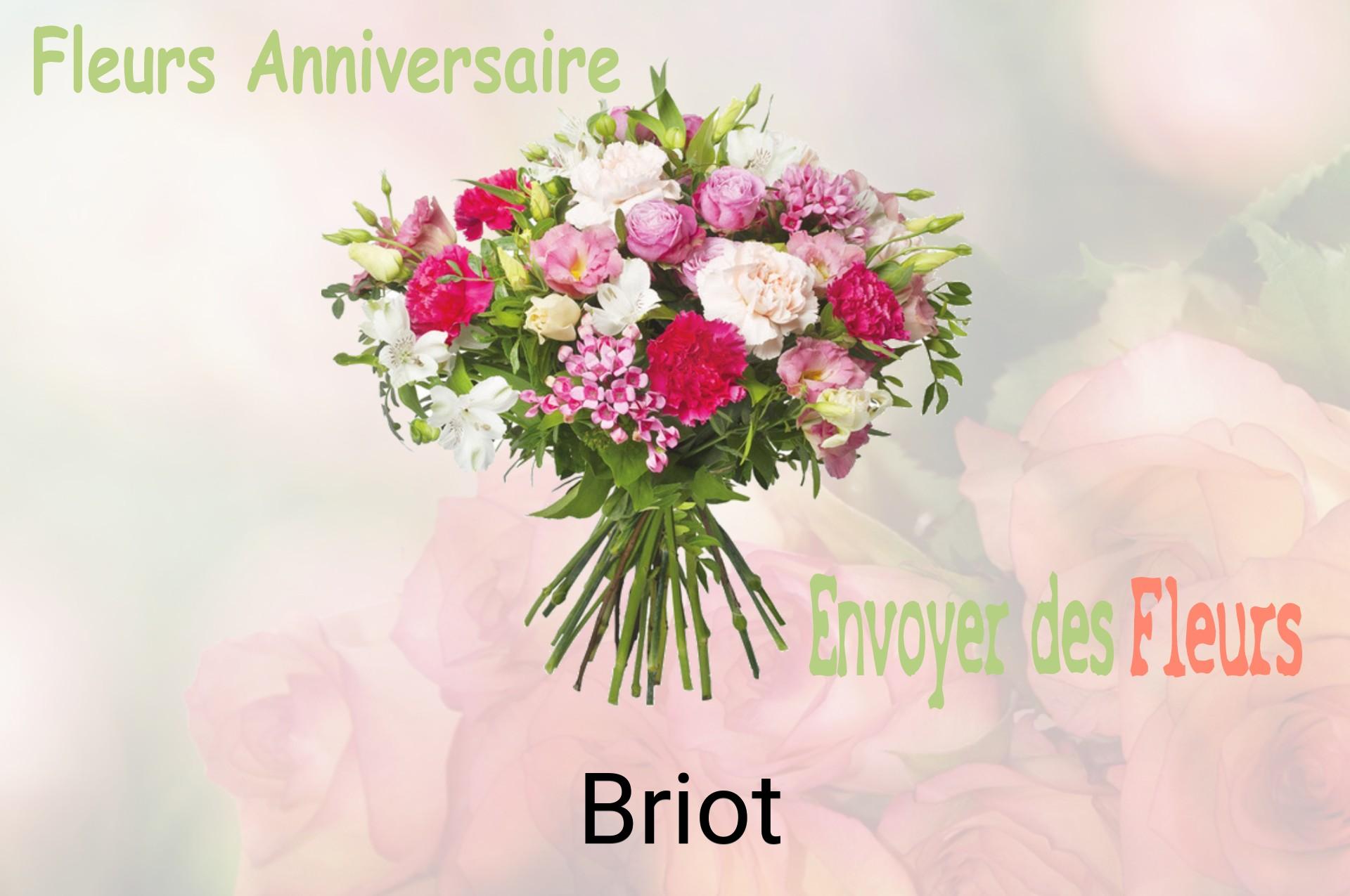Bouquet de fleurs d’anniversaire livré à Briot