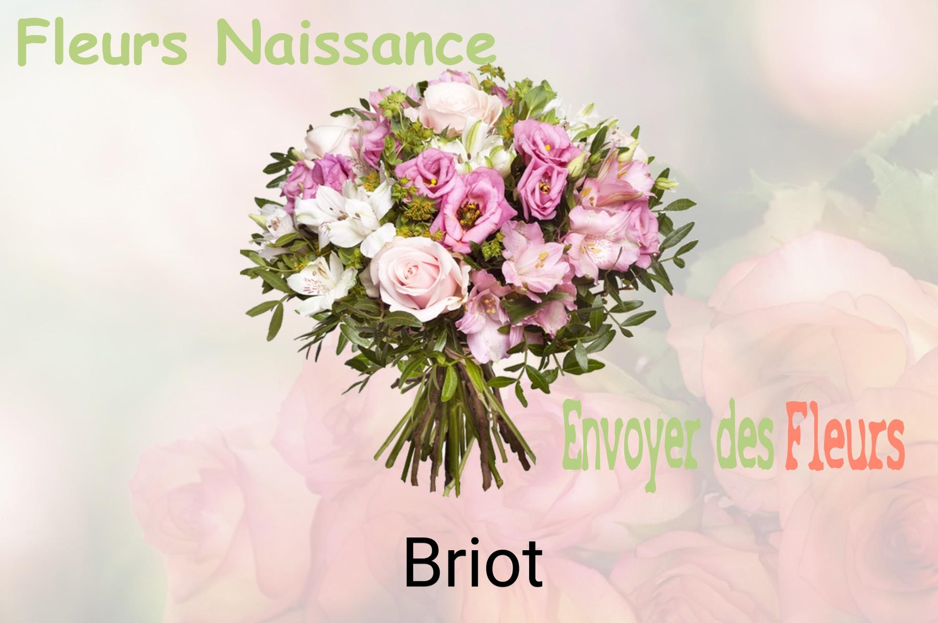 Bouquet de fleurs de naissance livré à Briot